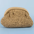 Woven Raffia Frame Shoulder Bag